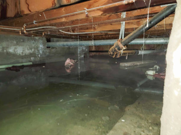 Water damage restoration mold remediation in MD