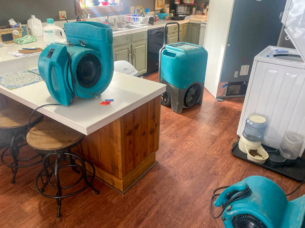 Best Carpet water damage restoration  in Emmitsburg, MD