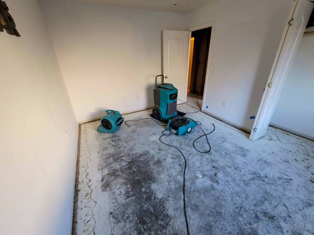 Best 24-hour water damage restoration  in Emmitsburg, MD