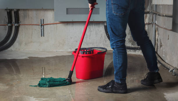 Best Water damage repair service  in Emmitsburg, MD
