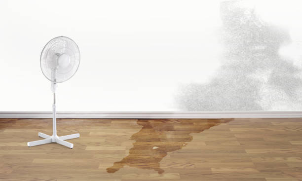 Best Emergency water damage restoration  in Emmitsburg, MD