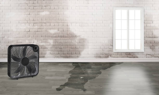 Best Flood restoration services  in Emmitsburg, MD